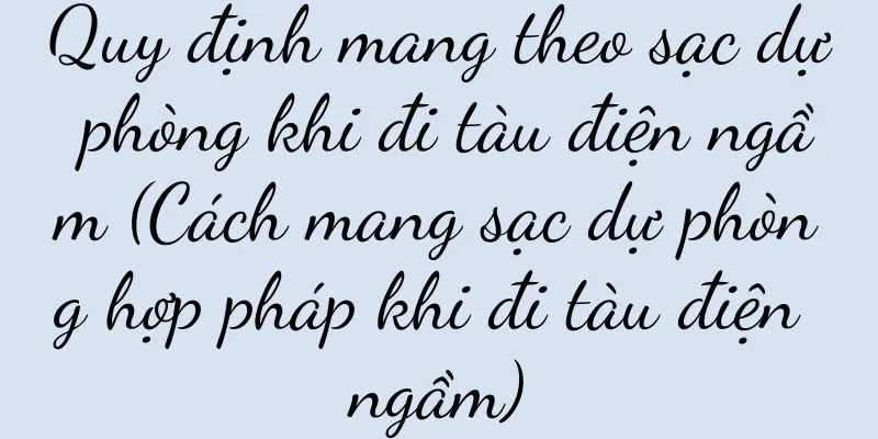 Quy định mang theo sạc dự phòng khi đi tàu điện ngầm (Cách mang sạc dự phòng hợp pháp khi đi tàu điện ngầm)
