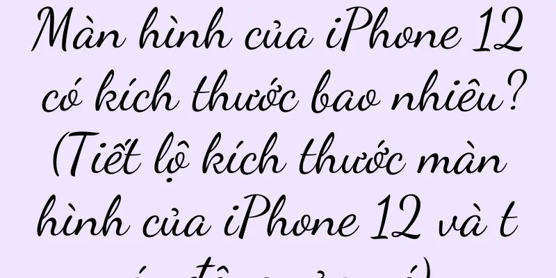 Màn hình của iPhone 12 có kích thước bao nhiêu? (Tiết lộ kích thước màn hình của iPhone 12 và tác động của nó)
