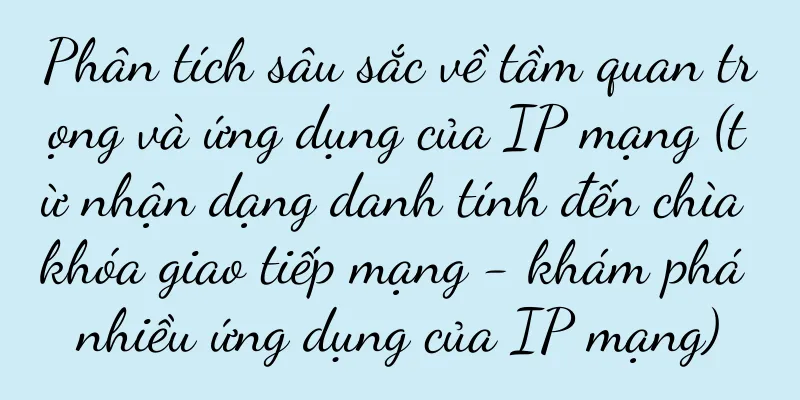 Phân tích sâu sắc về tầm quan trọng và ứng dụng của IP mạng (từ nhận dạng danh tính đến chìa khóa giao tiếp mạng - khám phá nhiều ứng dụng của IP mạng)