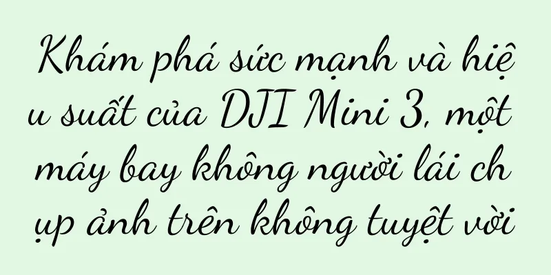 Khám phá sức mạnh và hiệu suất của DJI Mini 3, một máy bay không người lái chụp ảnh trên không tuyệt vời