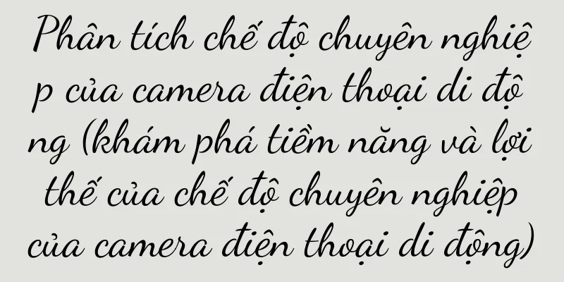 Phân tích chế độ chuyên nghiệp của camera điện thoại di động (khám phá tiềm năng và lợi thế của chế độ chuyên nghiệp của camera điện thoại di động)