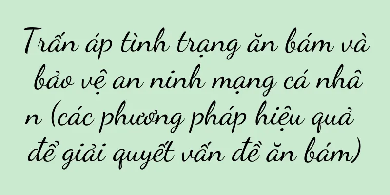 Trấn áp tình trạng ăn bám và bảo vệ an ninh mạng cá nhân (các phương pháp hiệu quả để giải quyết vấn đề ăn bám)