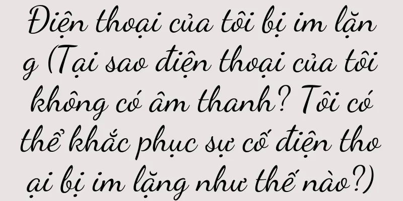 Điện thoại của tôi bị im lặng (Tại sao điện thoại của tôi không có âm thanh? Tôi có thể khắc phục sự cố điện thoại bị im lặng như thế nào?)