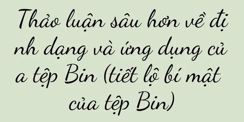 Thảo luận sâu hơn về định dạng và ứng dụng của tệp Bin (tiết lộ bí mật của tệp Bin)