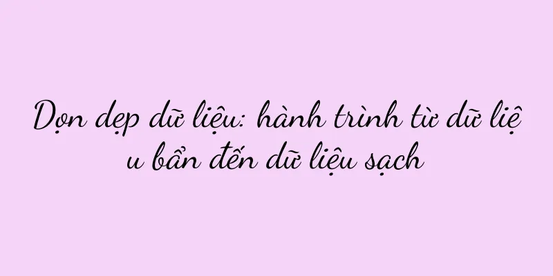 Dọn dẹp dữ liệu: hành trình từ dữ liệu bẩn đến dữ liệu sạch