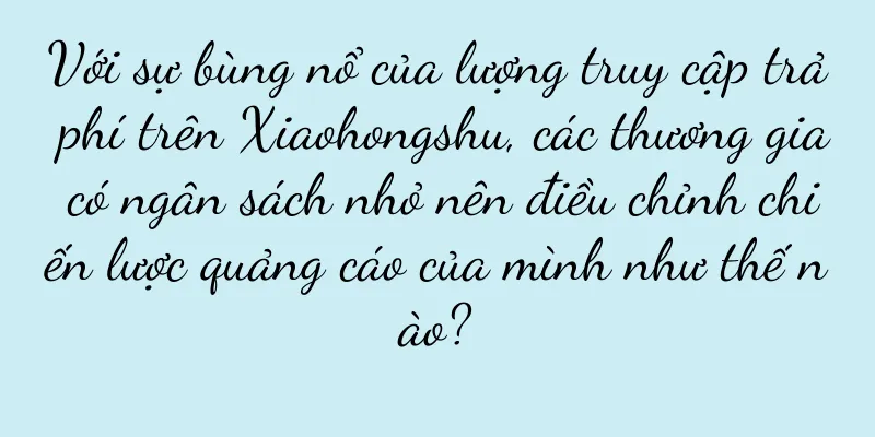 Với sự bùng nổ của lượng truy cập trả phí trên Xiaohongshu, các thương gia có ngân sách nhỏ nên điều chỉnh chiến lược quảng cáo của mình như thế nào?