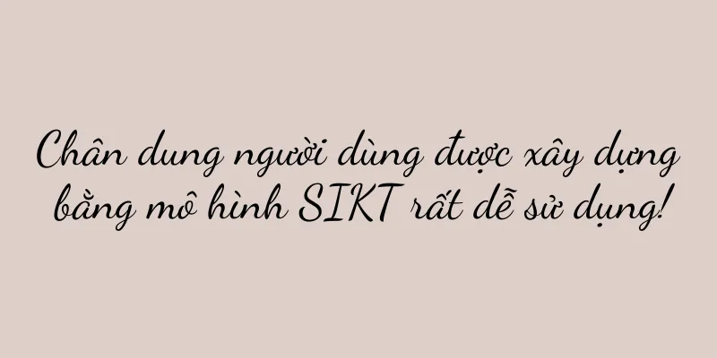 Chân dung người dùng được xây dựng bằng mô hình SIKT rất dễ sử dụng!