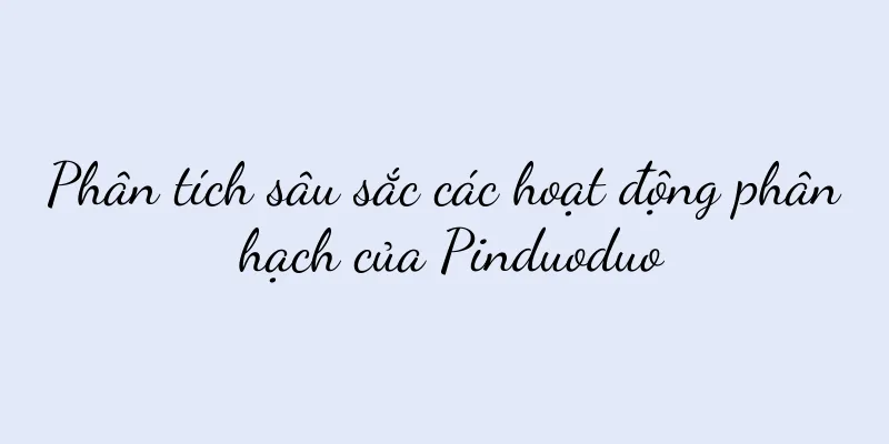 Phân tích sâu sắc các hoạt động phân hạch của Pinduoduo