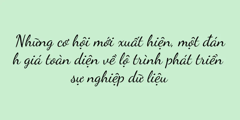 Những cơ hội mới xuất hiện, một đánh giá toàn diện về lộ trình phát triển sự nghiệp dữ liệu