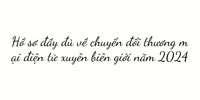 Hồ sơ đầy đủ về chuyển đổi thương mại điện tử xuyên biên giới năm 2024