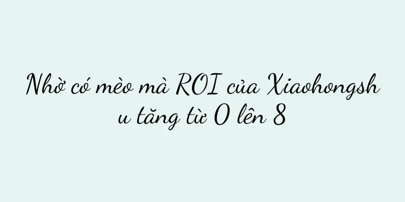 Nhờ có mèo mà ROI của Xiaohongshu tăng từ 0 lên 8