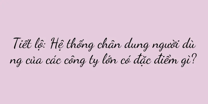 Tiết lộ: Hệ thống chân dung người dùng của các công ty lớn có đặc điểm gì?