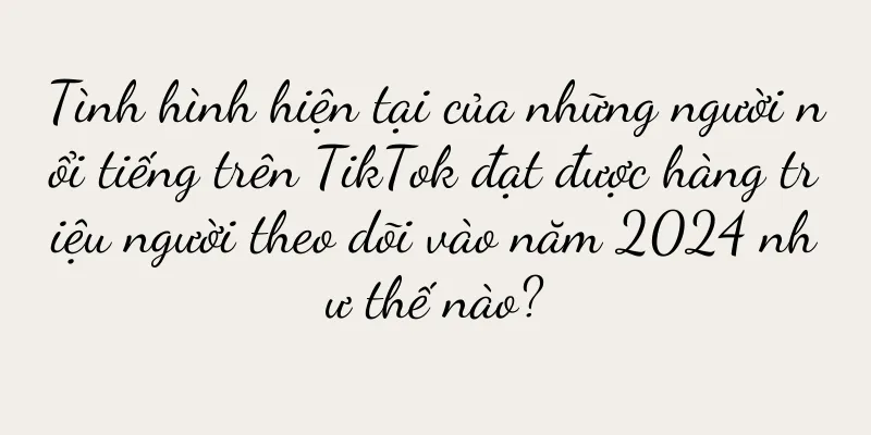 Tình hình hiện tại của những người nổi tiếng trên TikTok đạt được hàng triệu người theo dõi vào năm 2024 như thế nào?