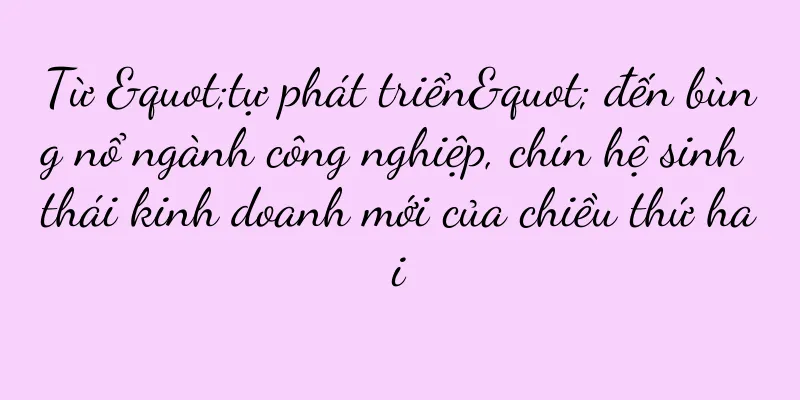 Từ "tự phát triển" đến bùng nổ ngành công nghiệp, chín hệ sinh thái kinh doanh mới của chiều thứ hai