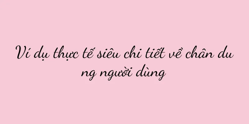 Ví dụ thực tế siêu chi tiết về chân dung người dùng