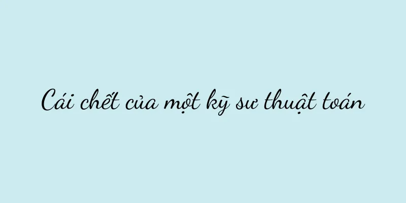 Cái chết của một kỹ sư thuật toán