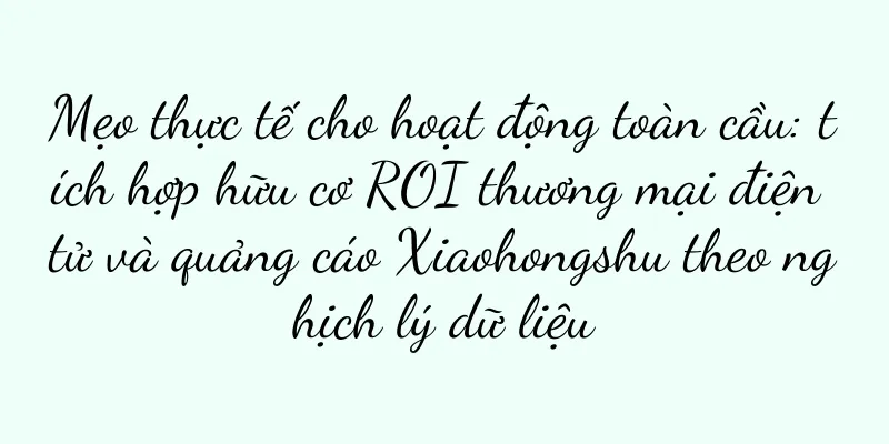 Mẹo thực tế cho hoạt động toàn cầu: tích hợp hữu cơ ROI thương mại điện tử và quảng cáo Xiaohongshu theo nghịch lý dữ liệu
