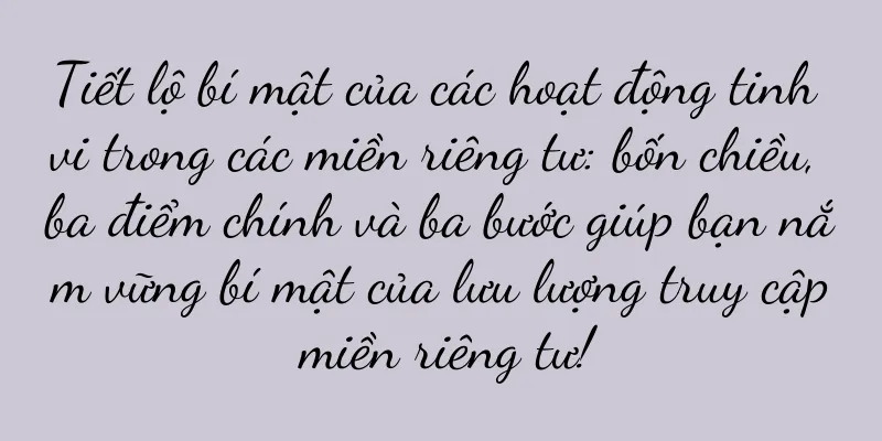 Tiết lộ bí mật của các hoạt động tinh vi trong các miền riêng tư: bốn chiều, ba điểm chính và ba bước giúp bạn nắm vững bí mật của lưu lượng truy cập miền riêng tư!