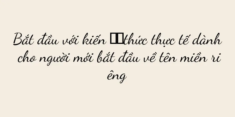 Bắt đầu với kiến ​​thức thực tế dành cho người mới bắt đầu về tên miền riêng