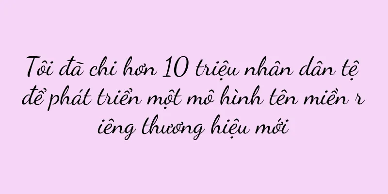 Tôi đã chi hơn 10 triệu nhân dân tệ để phát triển một mô hình tên miền riêng thương hiệu mới