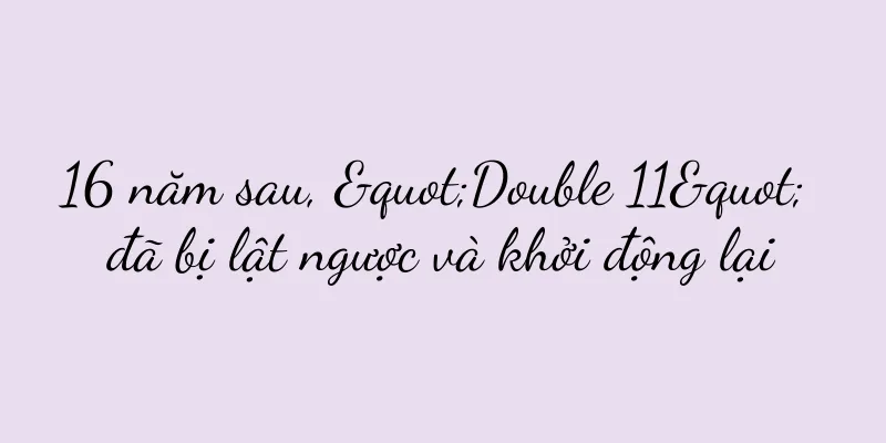 16 năm sau, "Double 11" đã bị lật ngược và khởi động lại
