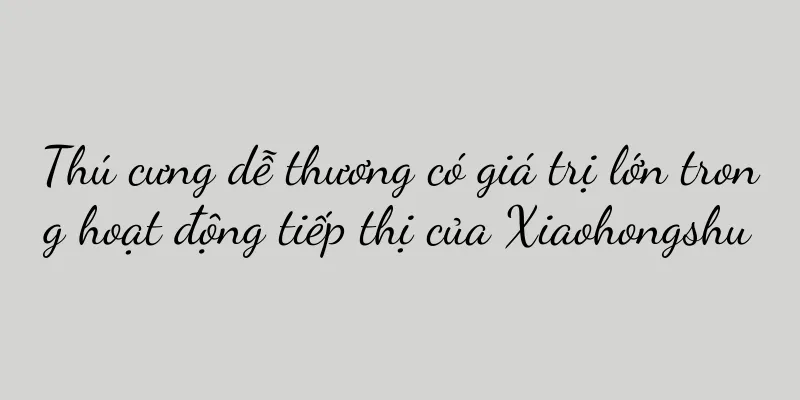 Thú cưng dễ thương có giá trị lớn trong hoạt động tiếp thị của Xiaohongshu