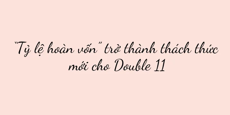 “Tỷ lệ hoàn vốn” trở thành thách thức mới cho Double 11