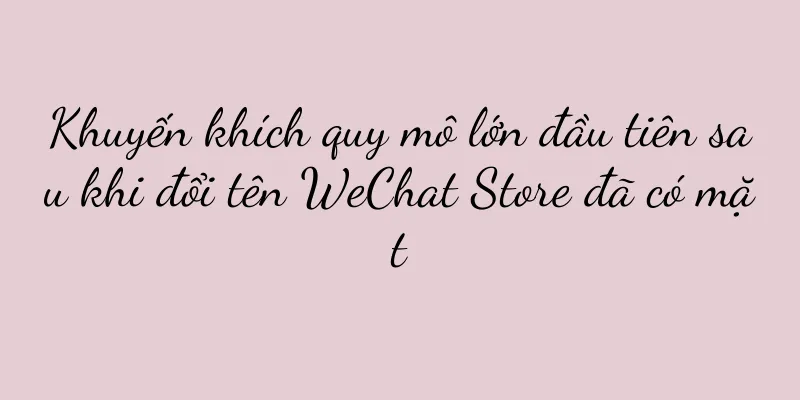 Khuyến khích quy mô lớn đầu tiên sau khi đổi tên WeChat Store đã có mặt