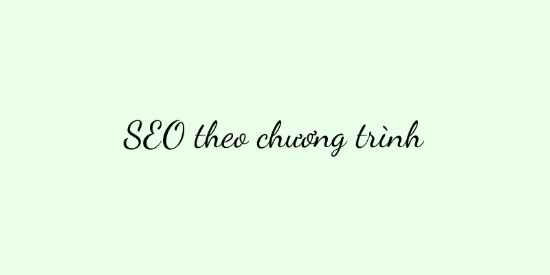 SEO theo chương trình