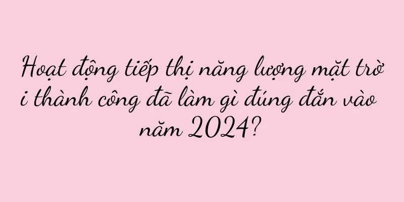 Hoạt động tiếp thị năng lượng mặt trời thành công đã làm gì đúng đắn vào năm 2024?