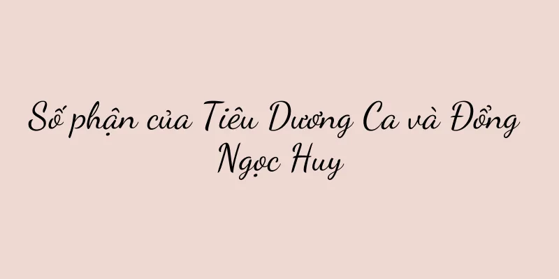 Số phận của Tiêu Dương Ca và Đổng Ngọc Huy