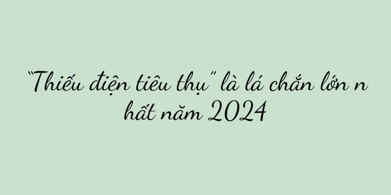 “Thiếu điện tiêu thụ” là lá chắn lớn nhất năm 2024