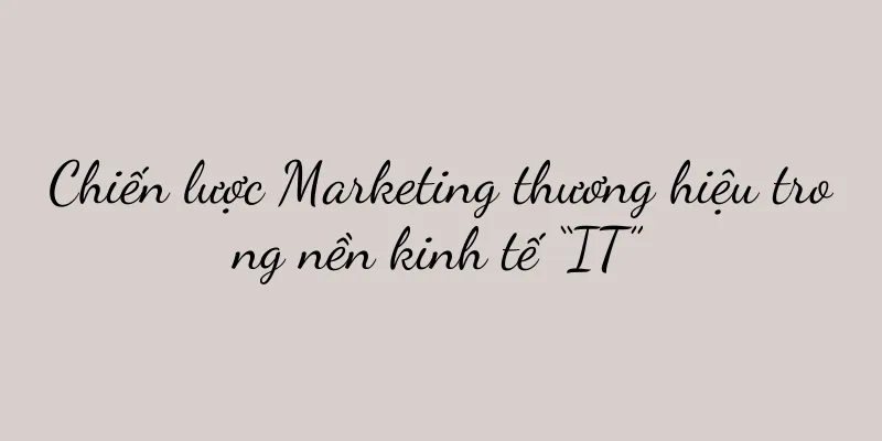 Chiến lược Marketing thương hiệu trong nền kinh tế “IT”