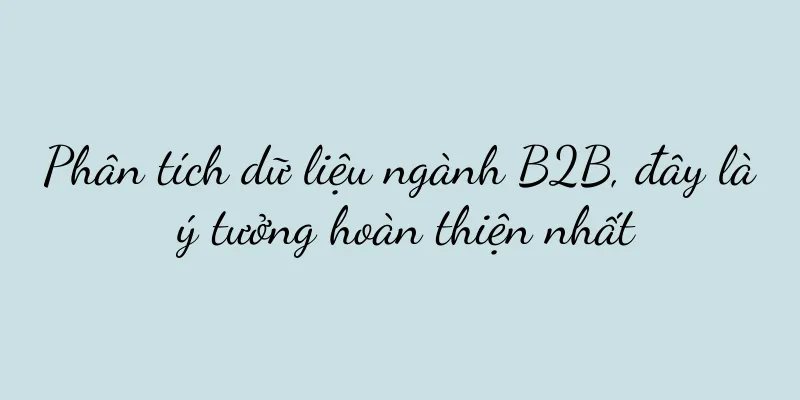 Phân tích dữ liệu ngành B2B, đây là ý tưởng hoàn thiện nhất