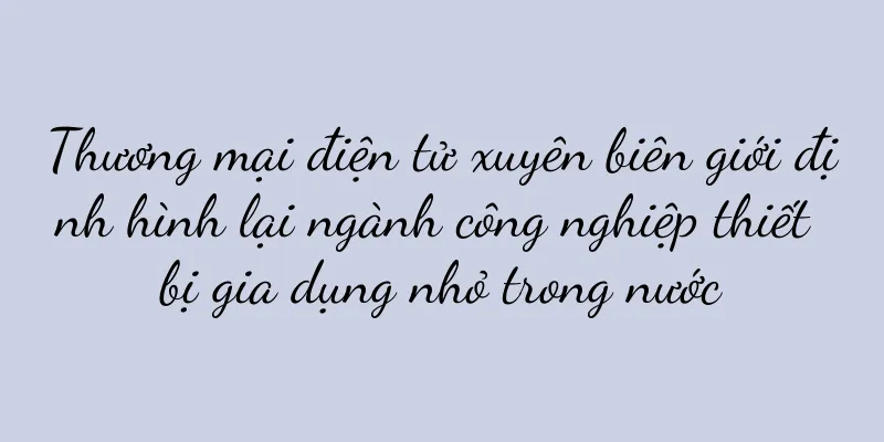 Thương mại điện tử xuyên biên giới định hình lại ngành công nghiệp thiết bị gia dụng nhỏ trong nước