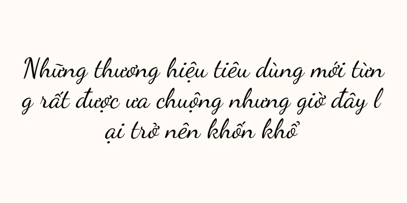 Những thương hiệu tiêu dùng mới từng rất được ưa chuộng nhưng giờ đây lại trở nên khốn khổ