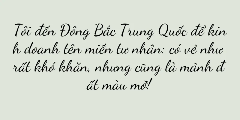 Tôi đến Đông Bắc Trung Quốc để kinh doanh tên miền tư nhân: có vẻ như rất khó khăn, nhưng cũng là mảnh đất màu mỡ!