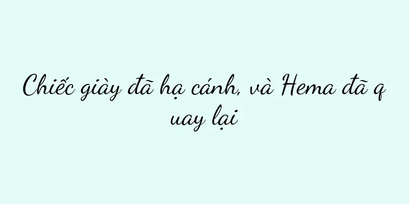 Chiếc giày đã hạ cánh, và Hema đã quay lại