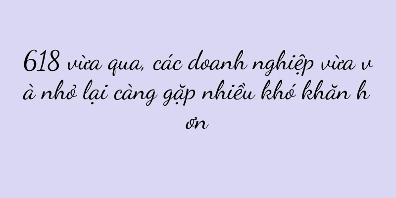 618 vừa qua, các doanh nghiệp vừa và nhỏ lại càng gặp nhiều khó khăn hơn