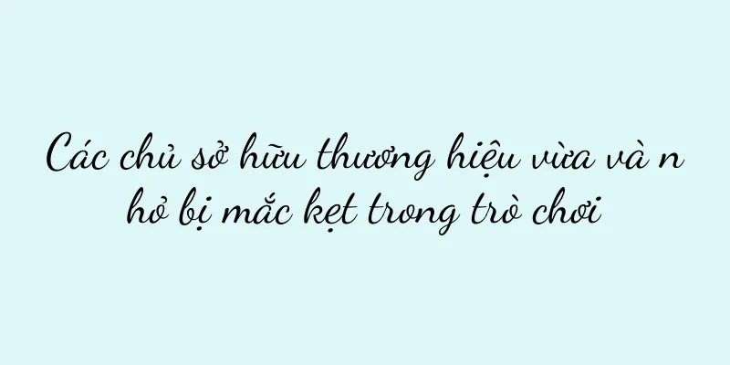 Các chủ sở hữu thương hiệu vừa và nhỏ bị mắc kẹt trong trò chơi