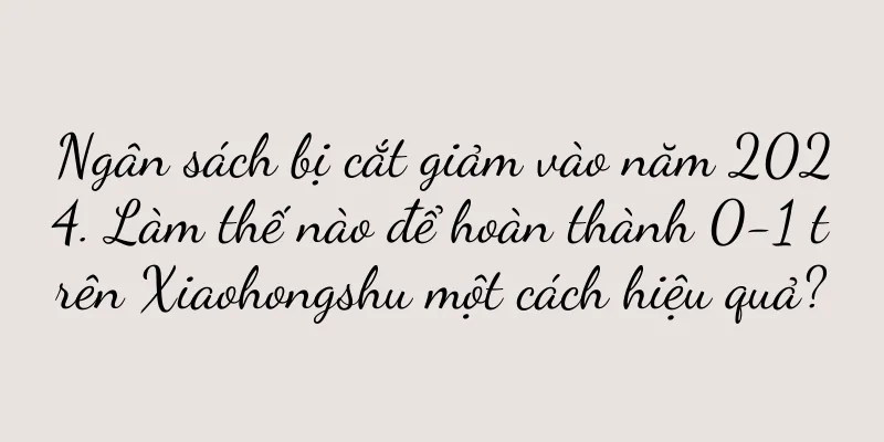 Ngân sách bị cắt giảm vào năm 2024. Làm thế nào để hoàn thành 0-1 trên Xiaohongshu một cách hiệu quả?