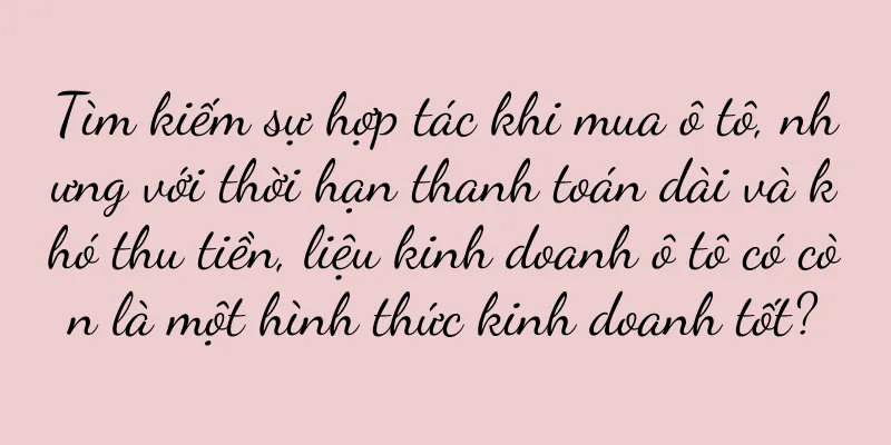 Tìm kiếm sự hợp tác khi mua ô tô, nhưng với thời hạn thanh toán dài và khó thu tiền, liệu kinh doanh ô tô có còn là một hình thức kinh doanh tốt?