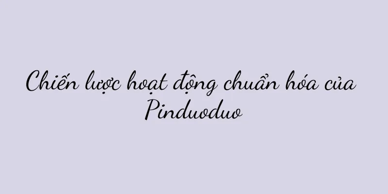 Chiến lược hoạt động chuẩn hóa của Pinduoduo