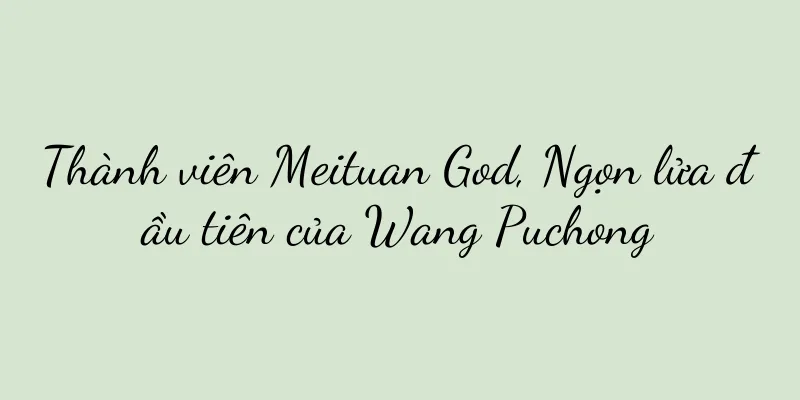 Thành viên Meituan God, Ngọn lửa đầu tiên của Wang Puchong