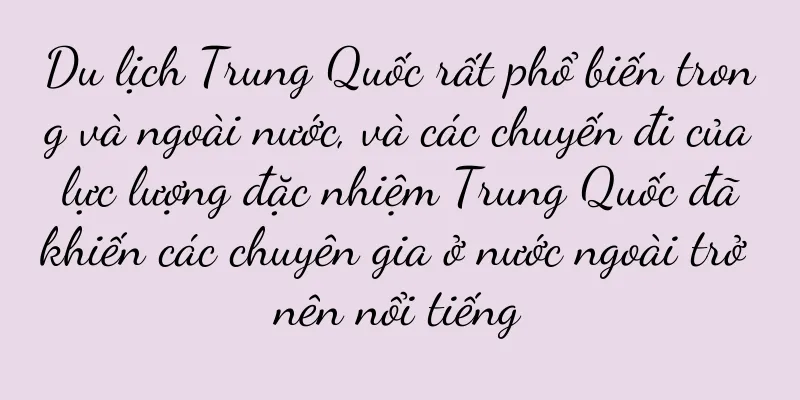 Du lịch Trung Quốc rất phổ biến trong và ngoài nước, và các chuyến đi của lực lượng đặc nhiệm Trung Quốc đã khiến các chuyên gia ở nước ngoài trở nên nổi tiếng