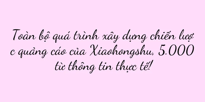 Toàn bộ quá trình xây dựng chiến lược quảng cáo của Xiaohongshu, 5.000 từ thông tin thực tế!