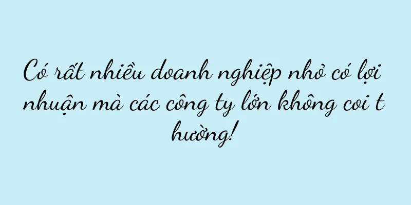 Có rất nhiều doanh nghiệp nhỏ có lợi nhuận mà các công ty lớn không coi thường!