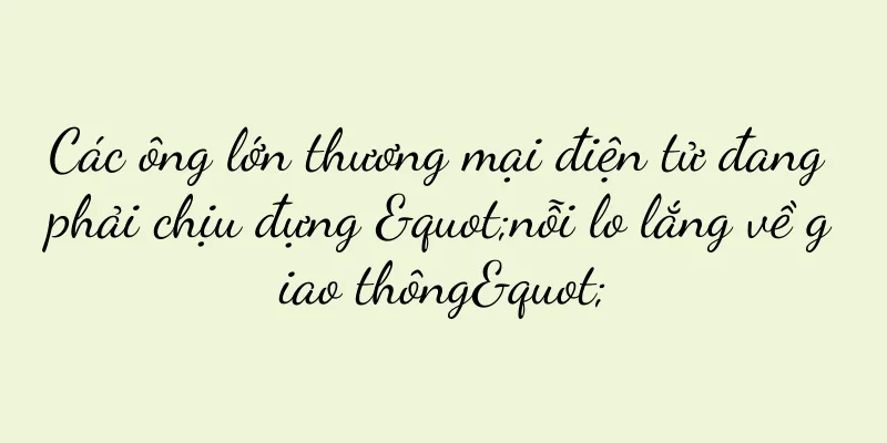 Các ông lớn thương mại điện tử đang phải chịu đựng "nỗi lo lắng về giao thông"