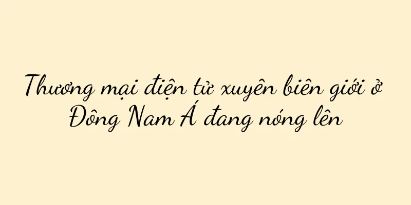 Thương mại điện tử xuyên biên giới ở Đông Nam Á đang nóng lên