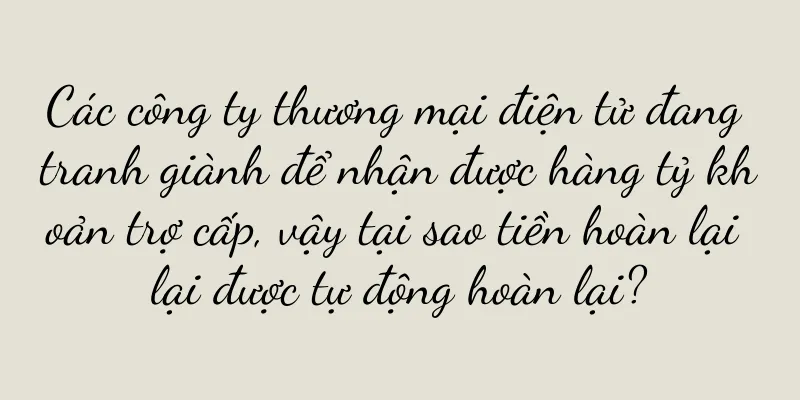 Các công ty thương mại điện tử đang tranh giành để nhận được hàng tỷ khoản trợ cấp, vậy tại sao tiền hoàn lại lại được tự động hoàn lại?